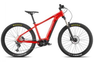 e-mtb TRX 1.3