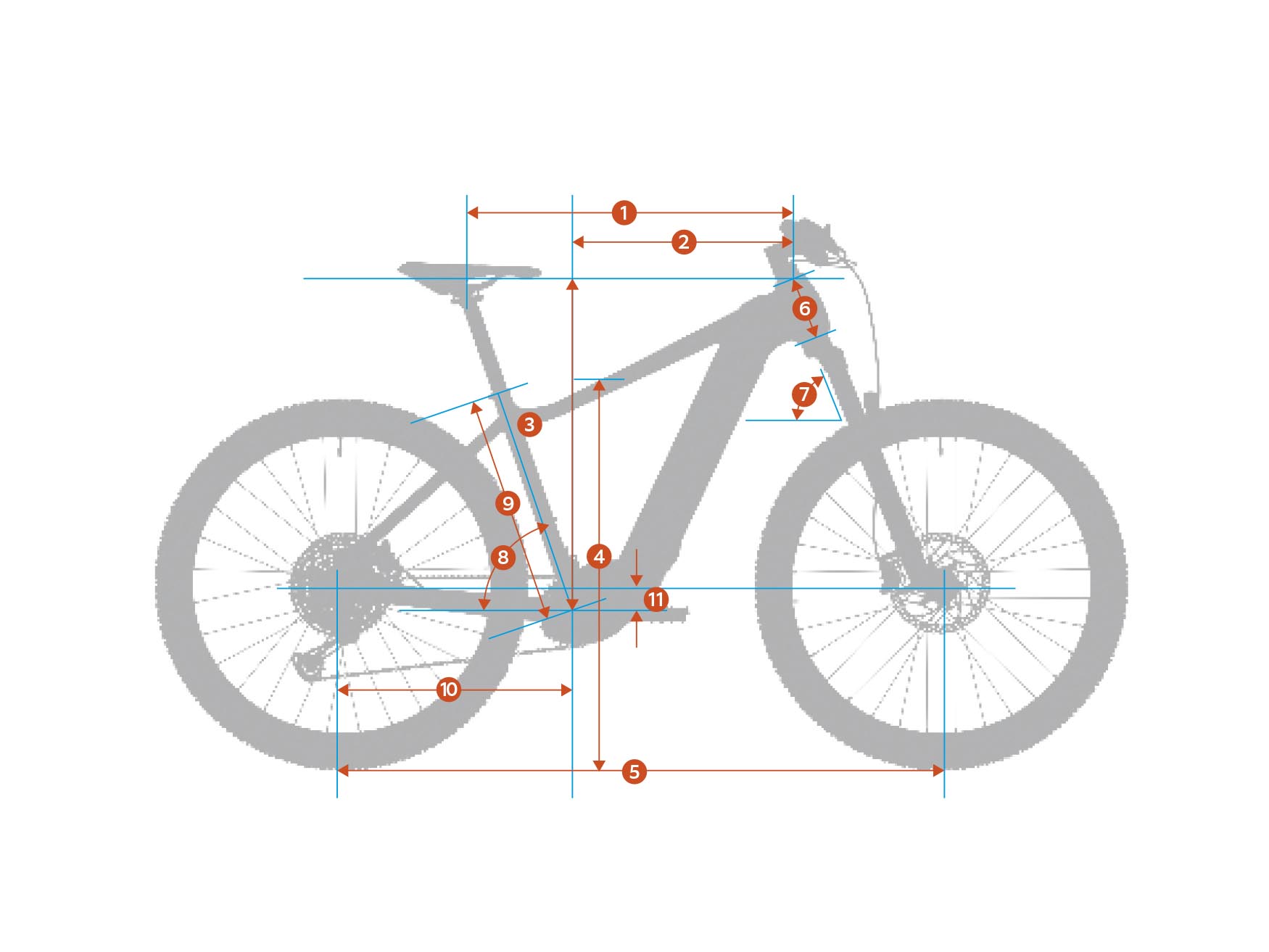 TRX-AND-TRX-URBAN-MODELS